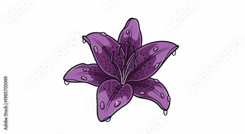 A purple lily with dark spots and water droplets on its petals