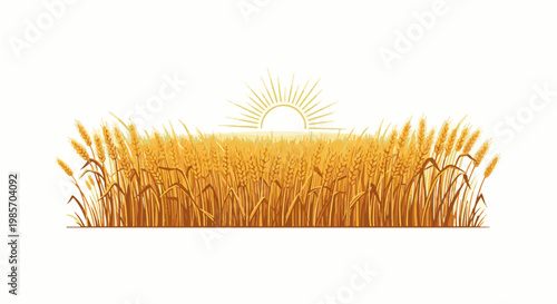 A golden wheat field under a bright, radiating sun