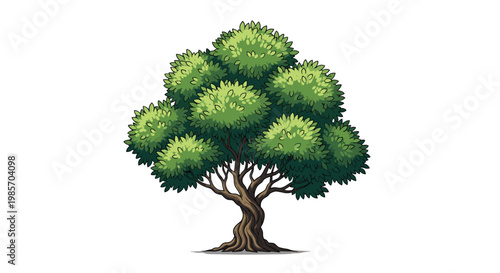 Detailed illustration of a single lush green deciduous tree with a thick textured trunk and many leaves isolated on a white background.