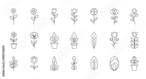 Collection of minimalist line art icons depicting various types of flowers and house plants in pots on a clean background.