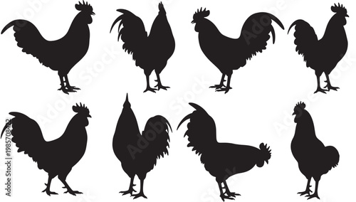 Rooster silhouettes set with black farm bird shapes in various poses for vector style icons and designs