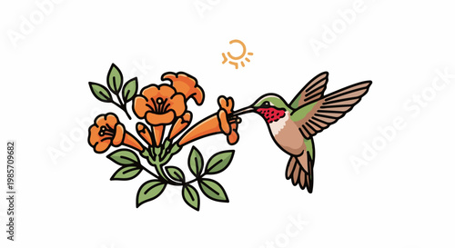 A hummingbird sips nectar from orange trumpet-shaped flowers under a simple sun