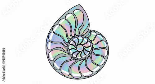 A iridescent nautilus shell with spiral chambers and a grey outline