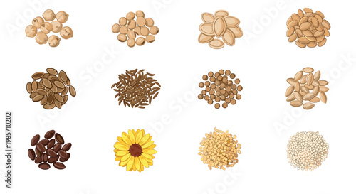 Various types of edible seeds and grains including sunflowers pumpkins chickpeas and spices arranged in neat piles.