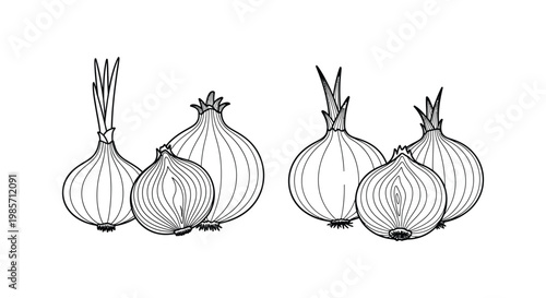 A detailed illustration of various onions in black outline silhouette