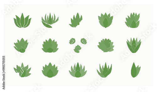 Filled agave icon set with desert succulent plant and botanical leaf symbols for eco and nature design