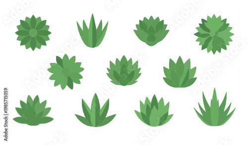 Flat filled agave plant icon collection with succulent desert leaf symbols for eco and botanical design