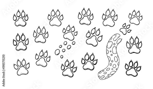 Hand drawn paw print icon collection with animal footprint symbols for pet care and veterinary design