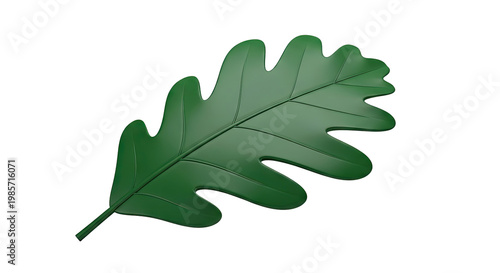 Green Oak Leaf