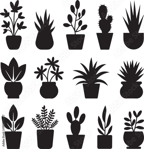 House plants silhouettes