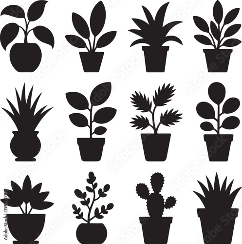 House plants silhouettes