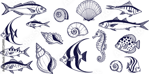 Vintage navy blue hand drawn vector set of various fish seashells and a seahorse for nautical themes and maritime designs.