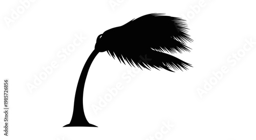 Palm tree in strong wind.