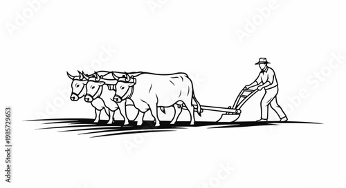 Farmer guiding oxen pulling a plow through a field