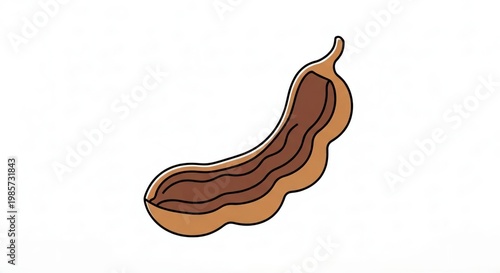 Brown Nut with Curved Shape and Smooth Texture on White Background