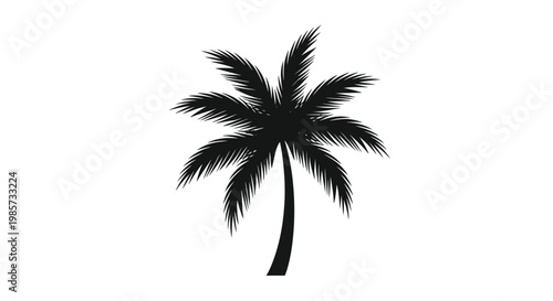 Silhouetted palm tree with spreading fronds against a white background