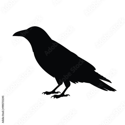 A striking silhouette of a raven perched with detailed feather texture