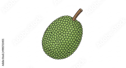 Detailed Illustration of a Green Durian Fruit on a White Background