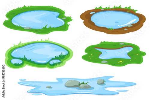 Water puddle in grass set vector isolated. Illustration of a small pond or swamp. Outdoor environment scene. Stone in the water. Grass around the puddle.