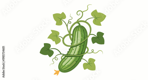 A green cucumber with leaves and tendrils on a white background