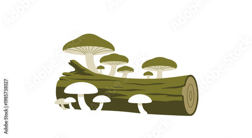 Mushrooms growing on a log