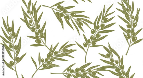 Olive branch vector, green leaves illustration, botanical elements, foliage pattern