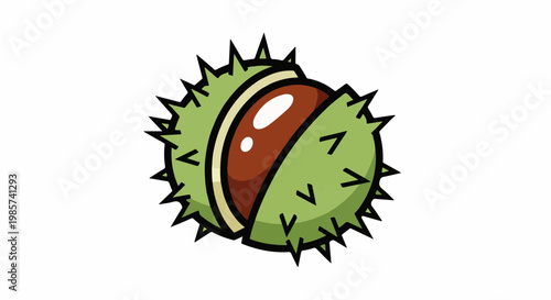 A spiky green shell is partially open revealing a smooth brown seed inside