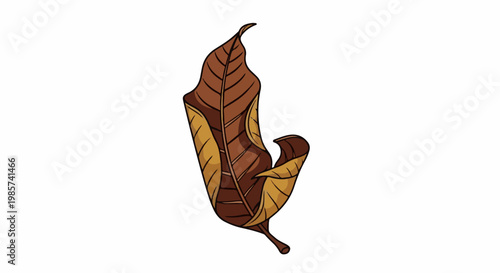 A single brown, curled leaf with distinct veins on a white background