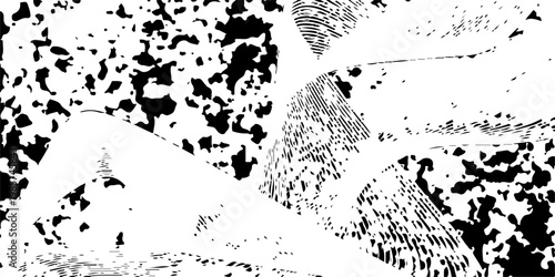 Grunge black and white leopard print pattern background featuring ink splash splatters and a vintage paint texture frame design