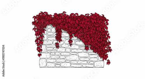 A stone wall is partially covered with dark red ivy