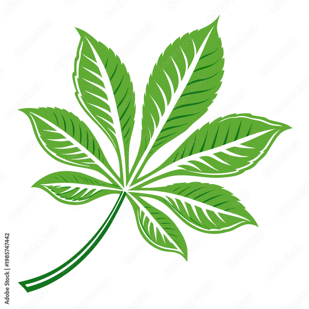 Ταπετσαρία Palmate green leaf with white veins and outline.