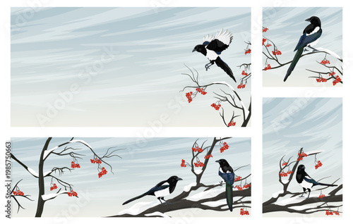 Eurasian magpie Pica pica vector banners set with winter landscape common magpies on rowan branches with red berries and snow in flat wildlife illustration isolated on white