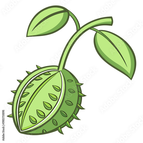 Exotic green fruit hanging with spiky outer skin.