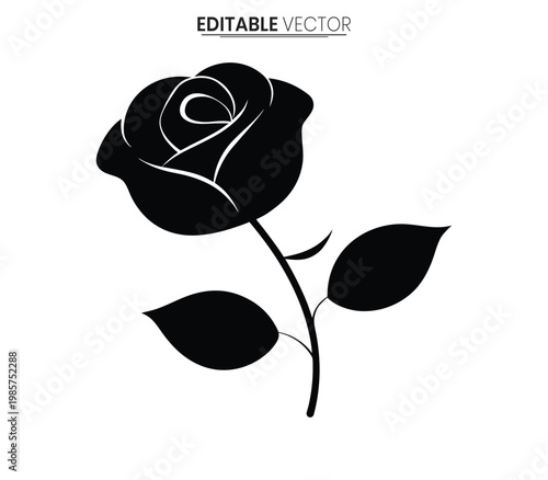 Elegant black rose with leaves and stem a striking floral silhouette