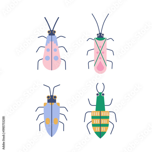 Cute insect bug flat vector illustration. Bugs and beetles character set. Minimal nursery kids doodle sticker and print. Colorful forest creature isolated top view for summer design.