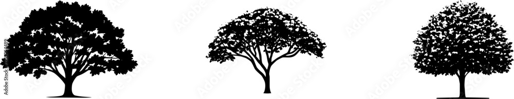 Fototapeta premium A highly detailed European Hornbeam tree stands alone on a pure white background, its fluted trunk and finely serrated leaves captured in stunning photorealism with bright studio lighting and