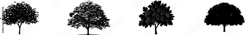 Fototapeta premium A solitary Mulberry tree stands isolated on a pure white background, its rough, irregularly lobed leaves and dense clusters of dark berries captured in stunning detail with bright studio lighting and