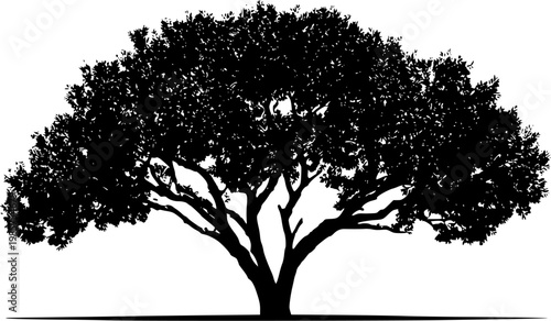 A stunningly detailed Paperbark tree stands alone against a pristine white backdrop, its spongy bark peeling away in dramatic layers under bright studio lighting