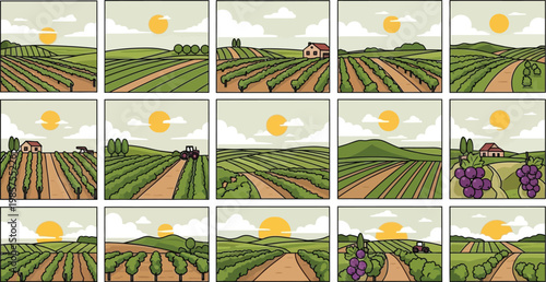 Set of fifteen flat vector illustrations featuring vineyard landscapes with rolling hills farmhouses tractors and grapes under a warm golden sun