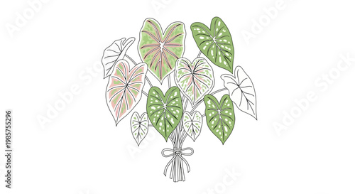 Collection of green tropical leaves.
