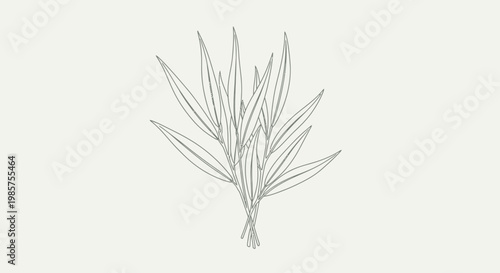 A bundle of rosemary herb sprigs.