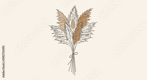 Dried bouquet of pampas grass flowers.