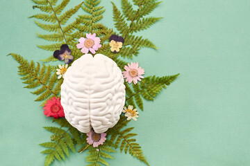 Mental Health Awareness Month. Brain model with natural elements for head health