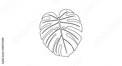Monstera leaf close-up illustration.
