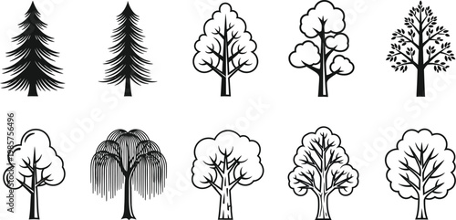 Set of ten minimalist black and white tree vector illustrations including coniferous deciduous and weeping willow silhouettes for graphic design and branding elements