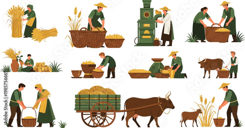 Flat Vector Illustration Set of Traditional Farmers Harvesting Wheat Grain Using Ox Carts Baskets and Manual Milling Tools on White Background