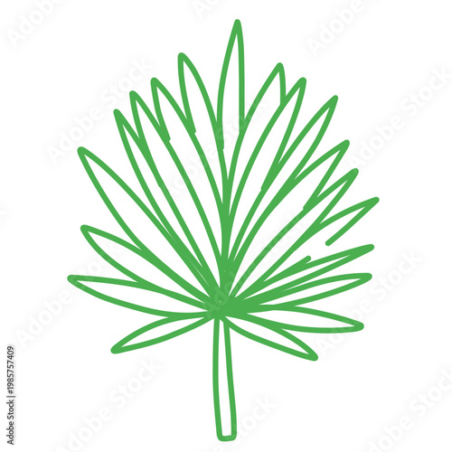 green outline of tropical leaves