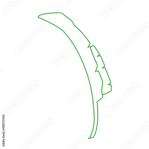 green outline of tropical leaves