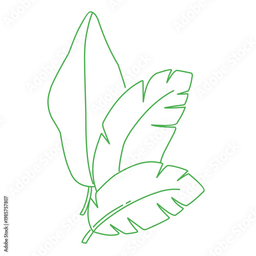 green outline of tropical leaves