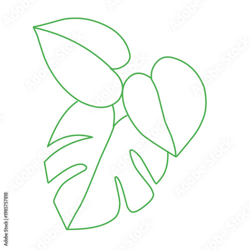 green outline of tropical leaves